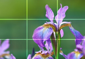 Tutorial about the rule of thirds in 3ds Max | Cg Blog